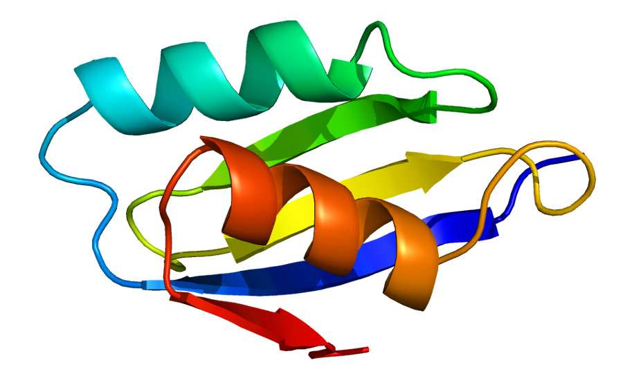 Proteina ATP7A Enfermedad de Menkes